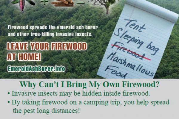 Leave Your Firewood At Home!